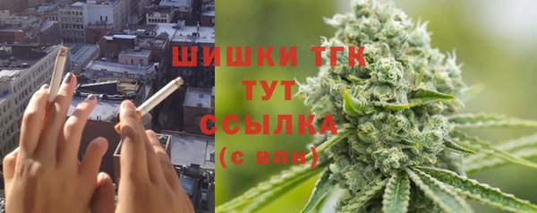 первитин Горняк
